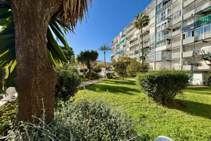 c545eae638676505a7620f1819bccea7 - 33