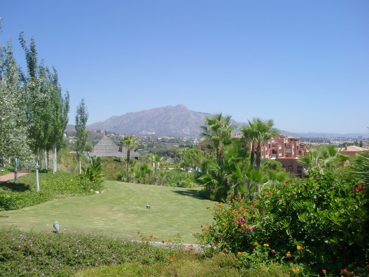 c5e6b8a736f072a337001820259cf5ab - 35