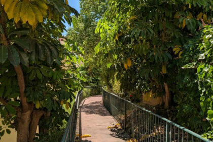 ca0fc610b697a18c519b90f841d48bcb - 9