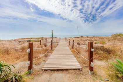 cadac169967c9faeffb4f3671a2c2b6f - 24