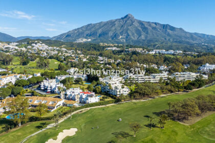 cb3402d680fb6d2419cdfb18328e1749 - 18