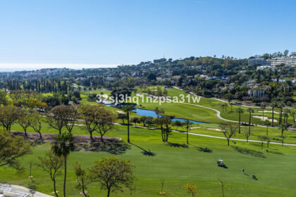 cb3402d680fb6d2419cdfb18328e1749 - 20