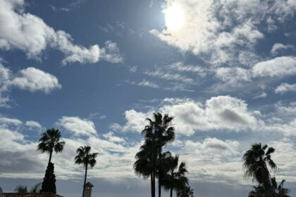 ce40471ba918104a5758f478b9367d3f - 14