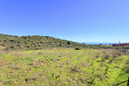 ce972875e77ae2eb54a0bd6cb99165e7 - 32