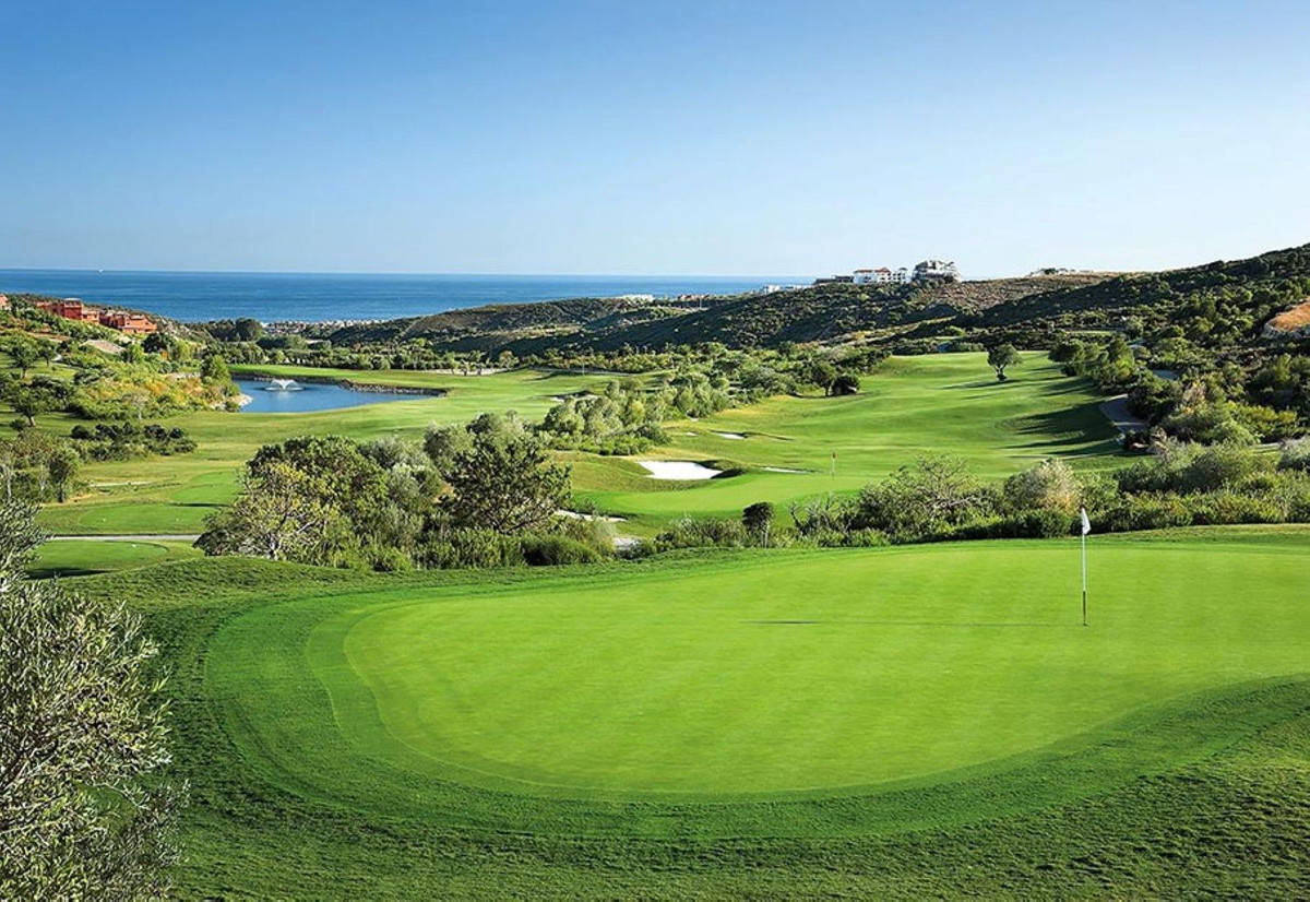 ce972875e77ae2eb54a0bd6cb99165e7 - 34