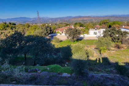 cf72c9378252b4c2faf30a0c3cd37667 - 1