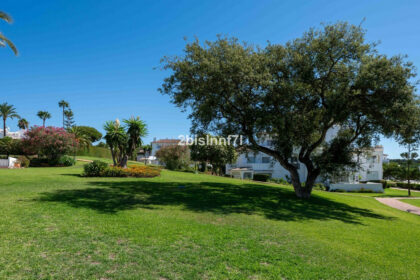 d1e3eb20cb5f22ab6ca2128955791458 - 32