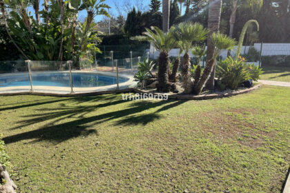 d39f33f2bca05ee2b2f1f0dc8a14b86b - 26