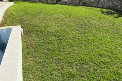 d52916f53d37210a26d6a05c7a22837e - 48