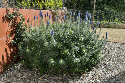 d52916f53d37210a26d6a05c7a22837e - 49