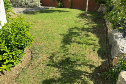 d52916f53d37210a26d6a05c7a22837e - 50