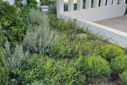 d52916f53d37210a26d6a05c7a22837e - 51