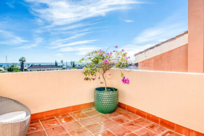 d6219d37c6c98e87f63e1bf8e9b8155c - 24