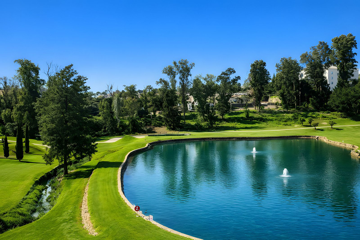 d73f890007bd0607d360b66babf7f81a - 1