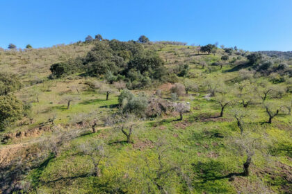 d859acad666c775eba10a20f519a76a5 - 1