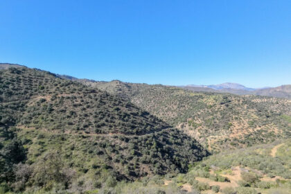 d859acad666c775eba10a20f519a76a5 - 10