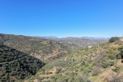 d859acad666c775eba10a20f519a76a5 - 11