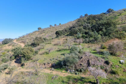 d859acad666c775eba10a20f519a76a5 - 2