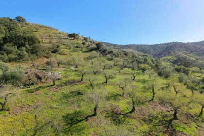 d859acad666c775eba10a20f519a76a5 - 3