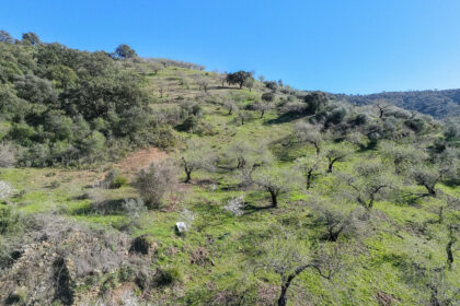 d859acad666c775eba10a20f519a76a5 - 4