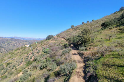 d859acad666c775eba10a20f519a76a5 - 6