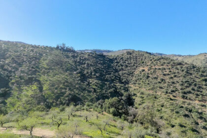 d859acad666c775eba10a20f519a76a5 - 7