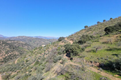 d859acad666c775eba10a20f519a76a5 - 8