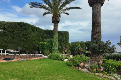 d91fe3a61ce5e3d5d0b22da6c89fe318 - 23