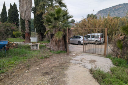 d99ced1bc2bb735a425d039d0b737208 - 1