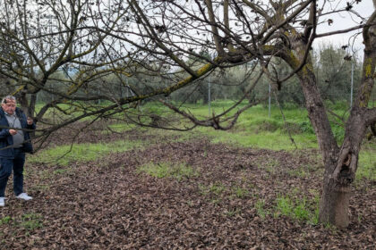 d99ced1bc2bb735a425d039d0b737208 - 10