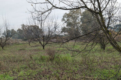 d99ced1bc2bb735a425d039d0b737208 - 11