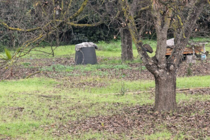 d99ced1bc2bb735a425d039d0b737208 - 12