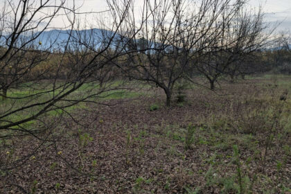 d99ced1bc2bb735a425d039d0b737208 - 13