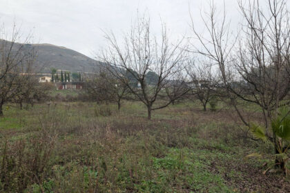 d99ced1bc2bb735a425d039d0b737208 - 14