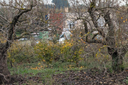 d99ced1bc2bb735a425d039d0b737208 - 15