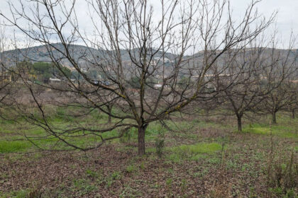 d99ced1bc2bb735a425d039d0b737208 - 16