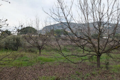 d99ced1bc2bb735a425d039d0b737208 - 17