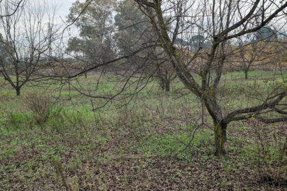 d99ced1bc2bb735a425d039d0b737208 - 18