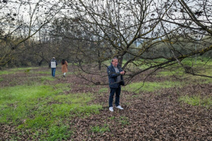 d99ced1bc2bb735a425d039d0b737208 - 19