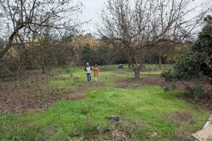 d99ced1bc2bb735a425d039d0b737208 - 2