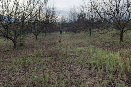 d99ced1bc2bb735a425d039d0b737208 - 20