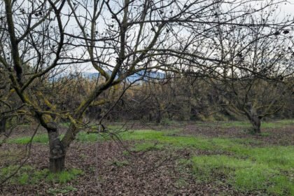 d99ced1bc2bb735a425d039d0b737208 - 21