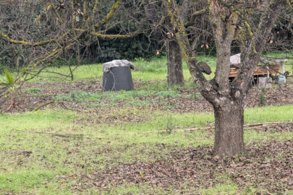 d99ced1bc2bb735a425d039d0b737208 - 22