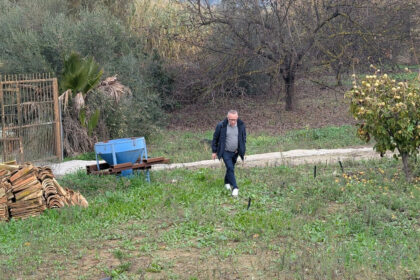 d99ced1bc2bb735a425d039d0b737208 - 23