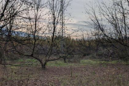 d99ced1bc2bb735a425d039d0b737208 - 24