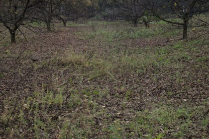 d99ced1bc2bb735a425d039d0b737208 - 25