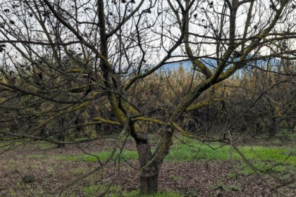 d99ced1bc2bb735a425d039d0b737208 - 26