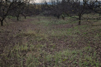 d99ced1bc2bb735a425d039d0b737208 - 28