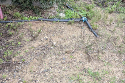 d99ced1bc2bb735a425d039d0b737208 - 29