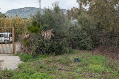 d99ced1bc2bb735a425d039d0b737208 - 3